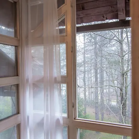 Micic * ズラティボール