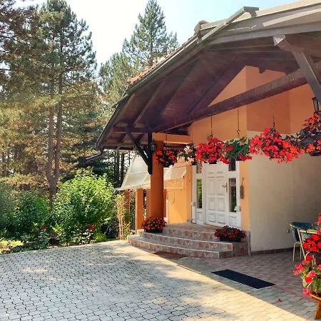 Micic * ズラティボール