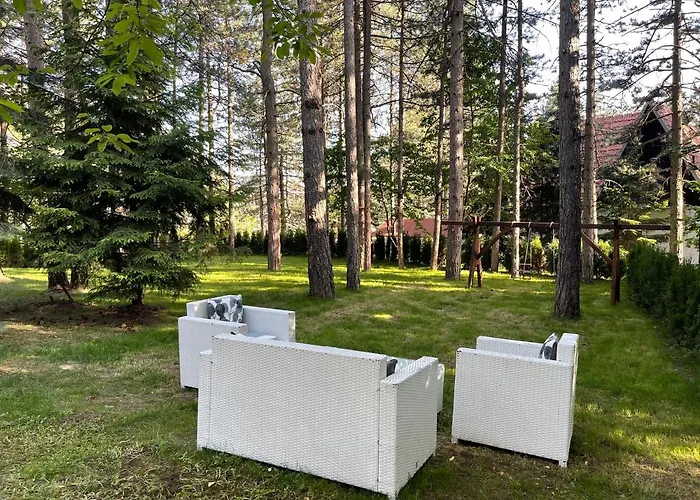 Micic * ズラティボール