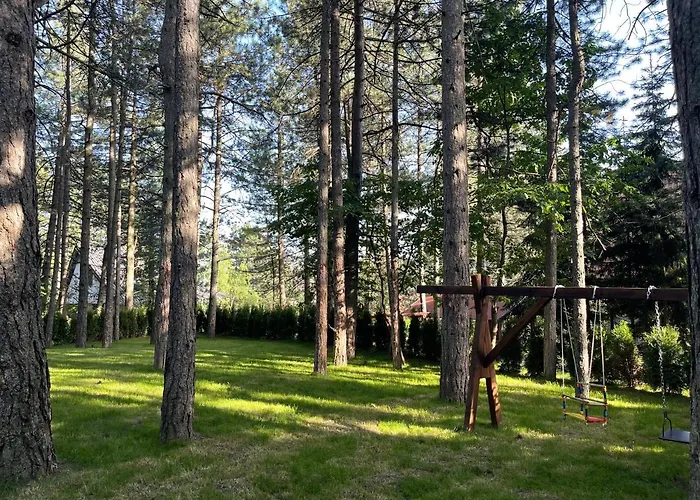 Micic ズラティボール