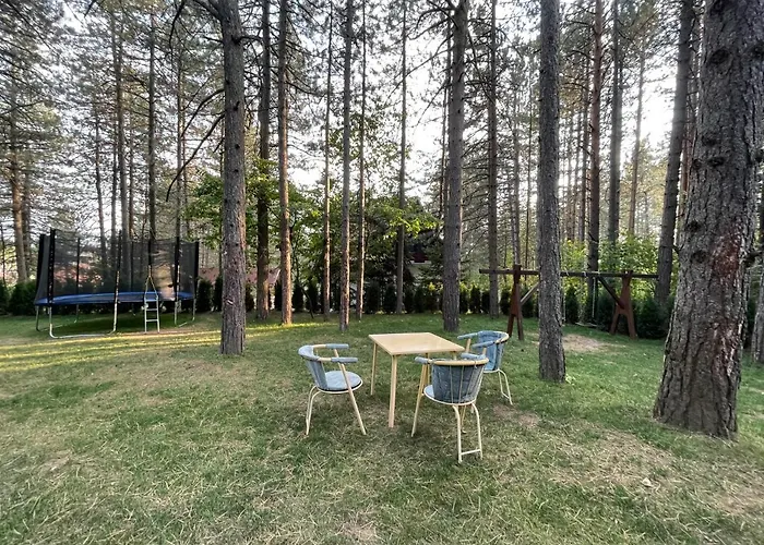 Micic ズラティボール