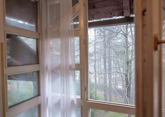 Micic * ズラティボール