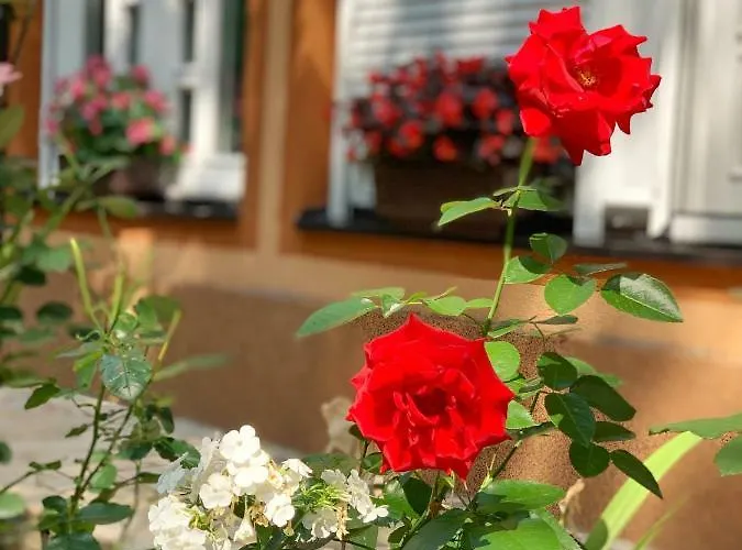 アパート Micic *