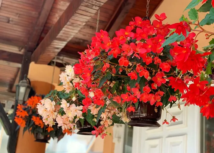 アパート Micic ズラティボール