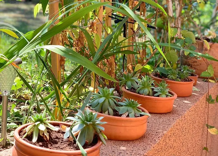 Micic アパート ズラティボール