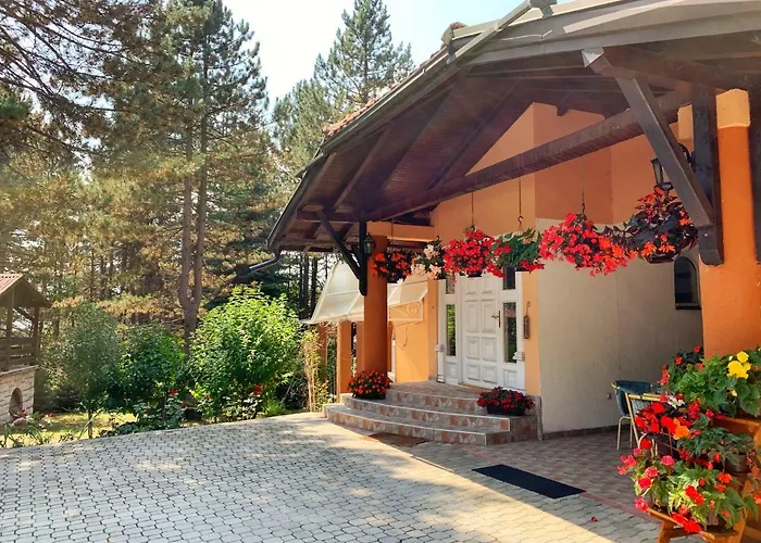 Micic * ズラティボール